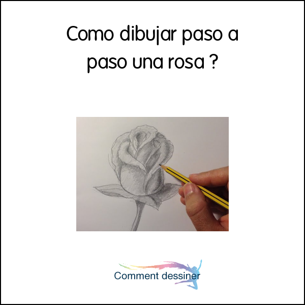 Como dibujar paso a paso una rosa